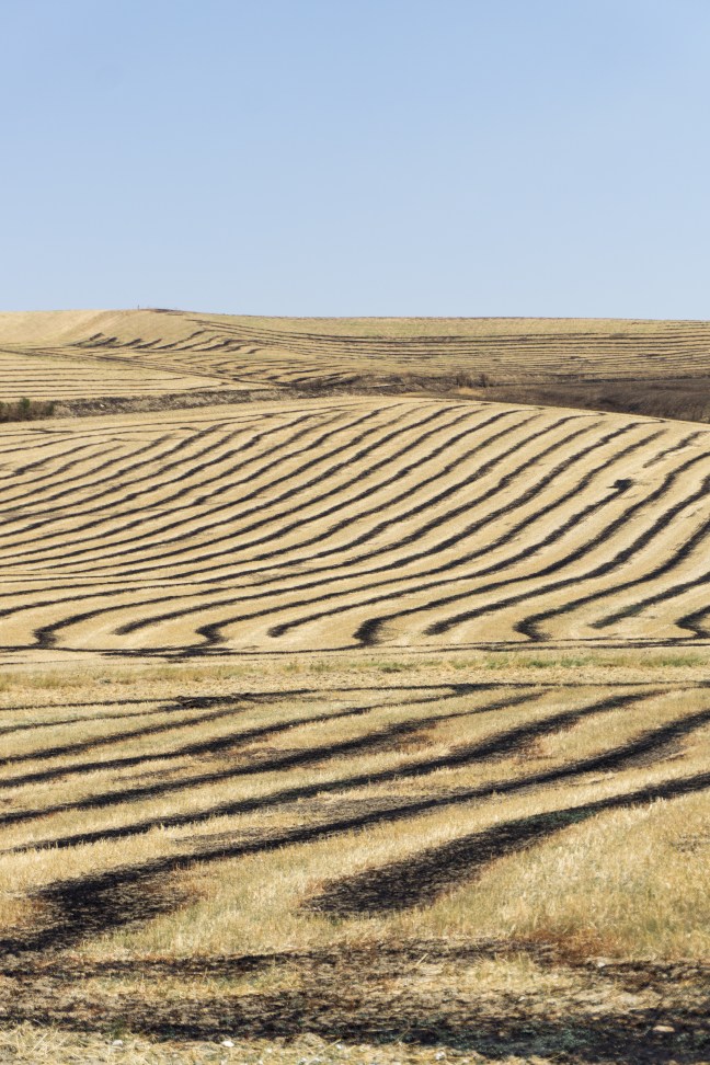 LRM_EXPORT_20170810_181906